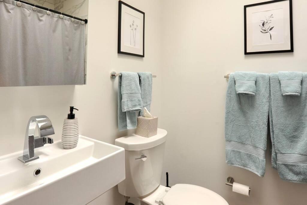 Cherry Blossom Townhouse, Easy Dc Access Washington Eksteriør bilde