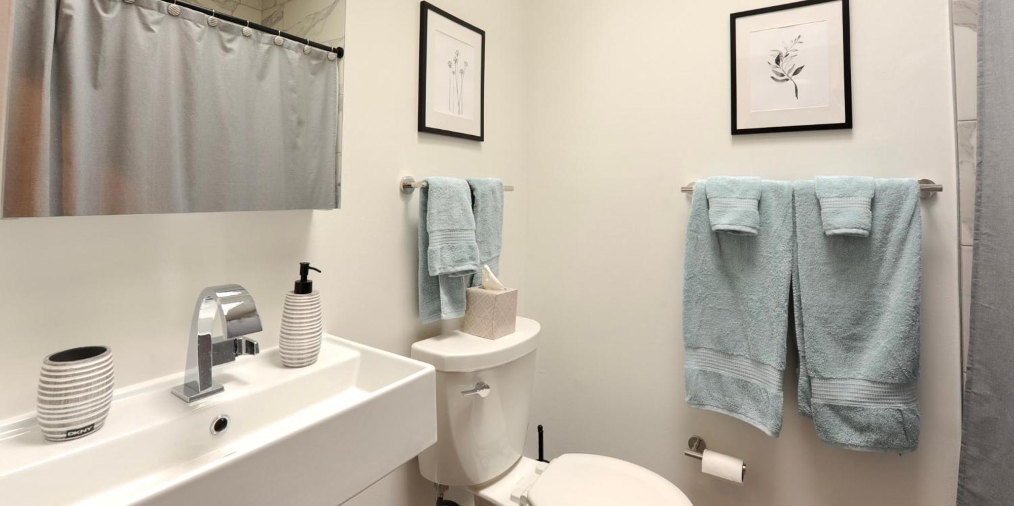 Cherry Blossom Townhouse, Easy Dc Access Washington Eksteriør bilde